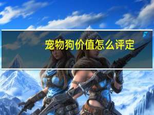 宠物狗价值怎么评定