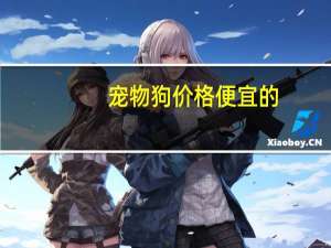 宠物狗价格便宜的