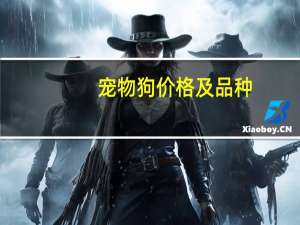 宠物狗价格及品种
