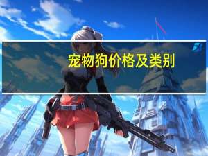 宠物狗价格及类别
