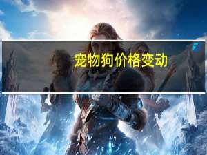 宠物狗价格变动