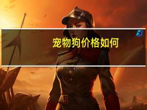 宠物狗价格如何