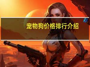 宠物狗价格排行介绍