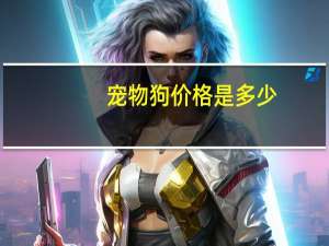 宠物狗价格是多少