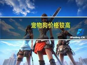 宠物狗价格较高