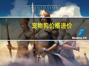宠物狗价格进价