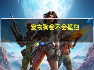 宠物狗会不会孤独