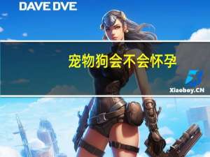 宠物狗会不会怀孕