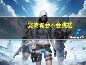 宠物狗会不会跳楼