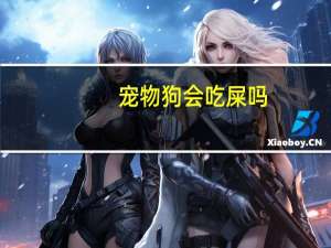 宠物狗会吃屎吗