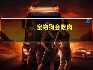 宠物狗会吃肉
