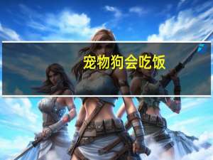 宠物狗会吃饭