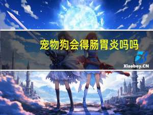 宠物狗会得肠胃炎吗吗