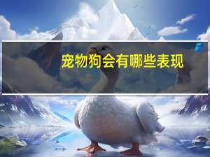 宠物狗会有哪些表现