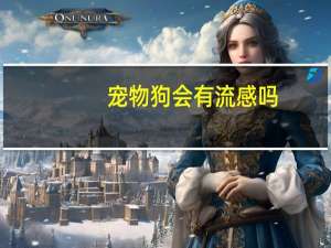 宠物狗会有流感吗