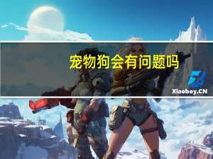 宠物狗会有问题吗