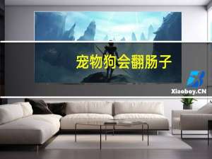 宠物狗会翻肠子