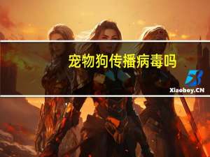 宠物狗传播病毒吗