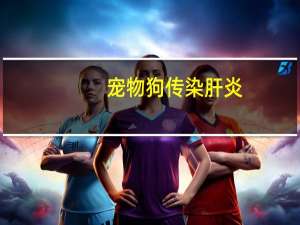 宠物狗传染肝炎