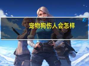 宠物狗伤人会怎样