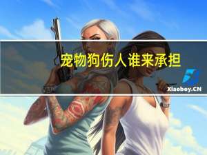 宠物狗伤人谁来承担