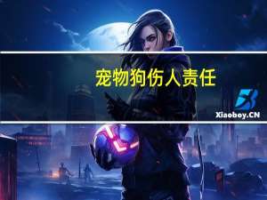 宠物狗伤人责任