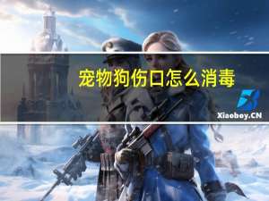 宠物狗伤口怎么消毒