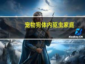 宠物狗体内驱虫家庭