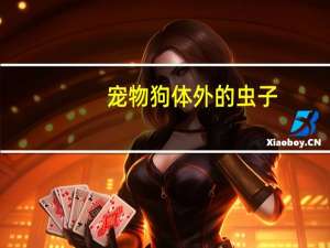 宠物狗体外的虫子