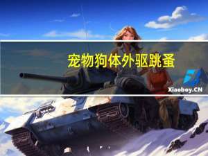 宠物狗体外驱跳蚤