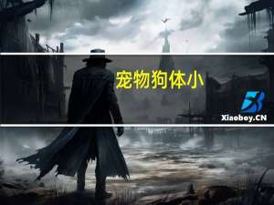 宠物狗体小
