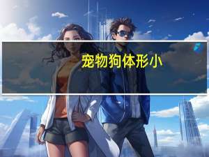 宠物狗体形小