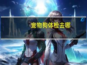 宠物狗体检去哪