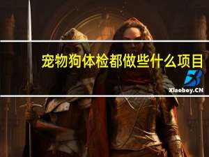 宠物狗体检都做些什么项目