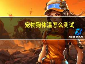 宠物狗体温怎么测试