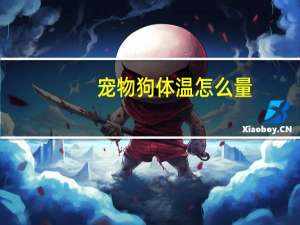 宠物狗体温怎么量