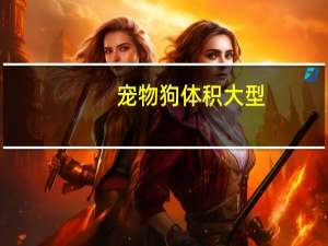 宠物狗体积大型