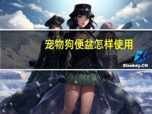 宠物狗便盆怎样使用