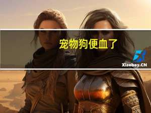 宠物狗便血了