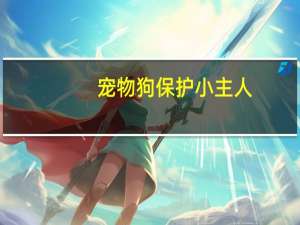 宠物狗保护小主人