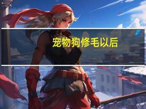 宠物狗修毛以后
