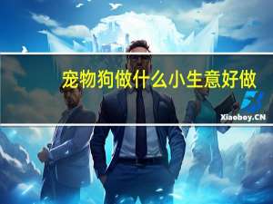 宠物狗做什么小生意好做