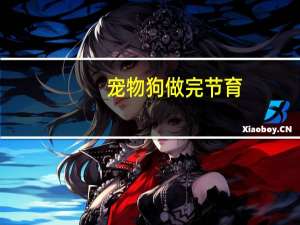 宠物狗做完节育