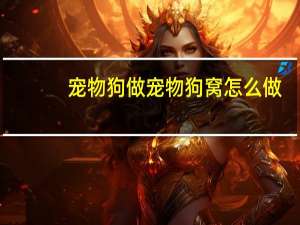 宠物狗做宠物狗窝怎么做