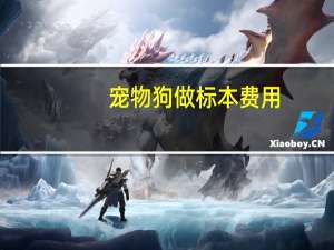 宠物狗做标本费用