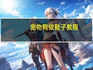 宠物狗做鞋子教程