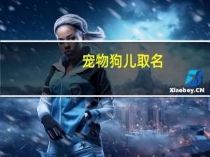 宠物狗儿取名