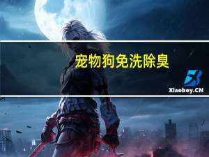 宠物狗免洗除臭