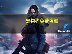 宠物狗免费咨询