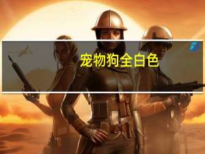 宠物狗全白色